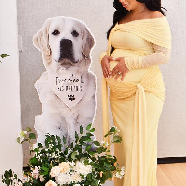 Momnfancy Boat Neck Ruched Bodycon Sheer Twist Photoshoot Maternity Maxi Dress