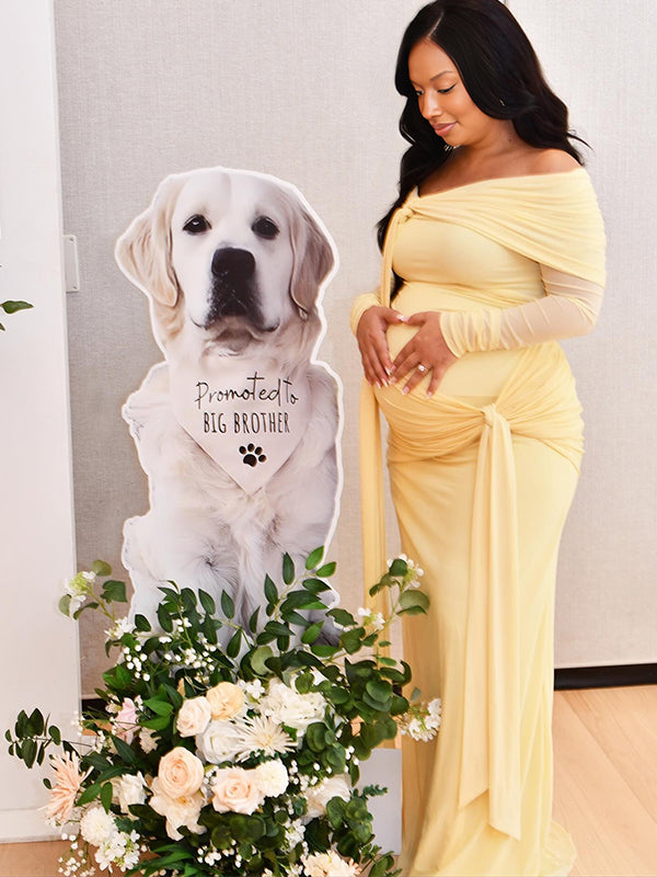 Momnfancy Boat Neck Ruched Bodycon Sheer Twist Photoshoot Maternity Maxi Dress